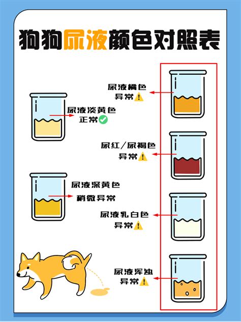 狗尿顏色|狗狗尿液颜色速查表